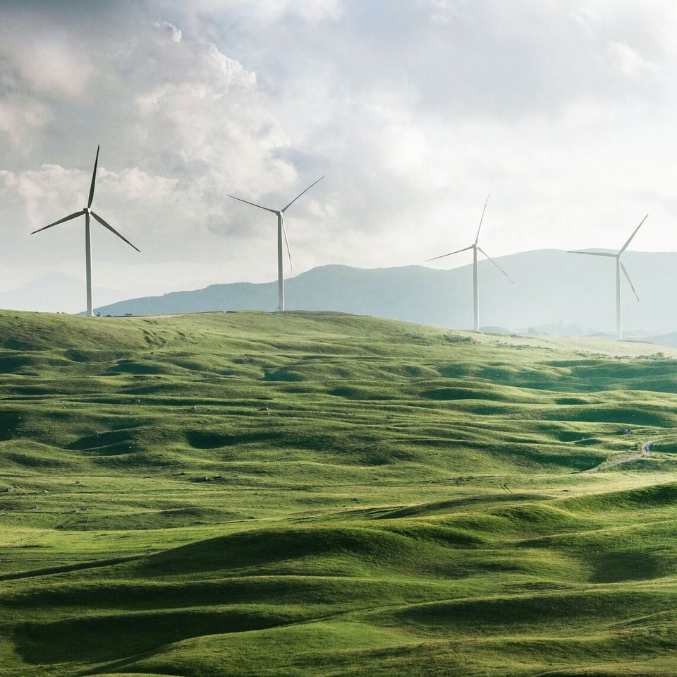 Ein Feld mit Windrädern.